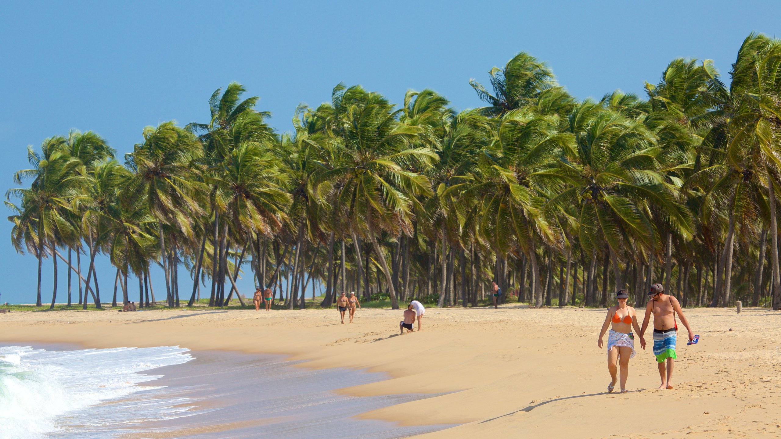 Bahia Sul Turismo