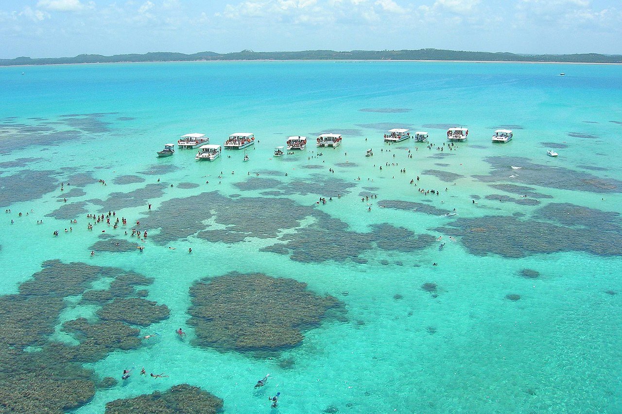 Bahia Sul Turismo