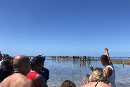 Recife de Fora